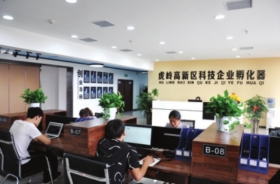 優化營商環境 激發企業孵化活力，夯實高質量發展根基